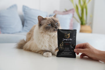 Magic Catnip Leaves Refill
