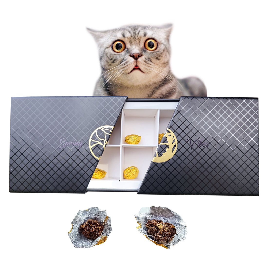 More Than Catnip MONTHLY PACK